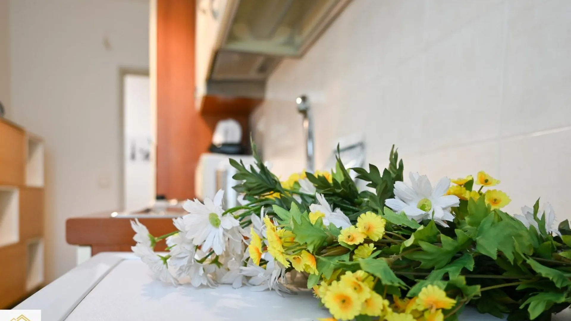 Apartment Inn Pisa Rentals 2 - Sunny Corner Pisa Flat Italy