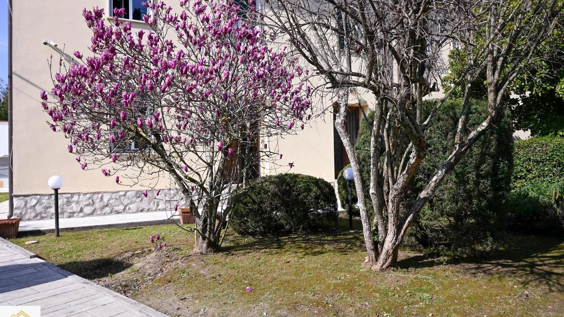 Inn Pisa Rentals 2 - Sunny Corner Pisa Flat Apartment